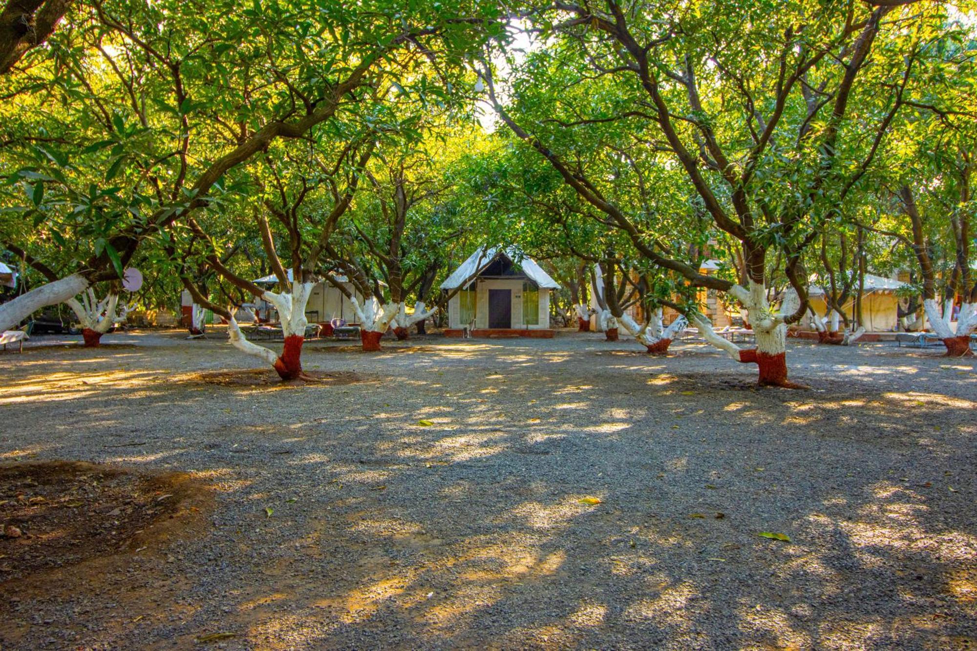 Brook Ville Sasan Gir Exterior foto